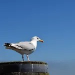 Seestern Nyaraló
