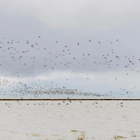 Casa de Férias Seestern *