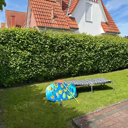 Seestern Dorumer Neufeld