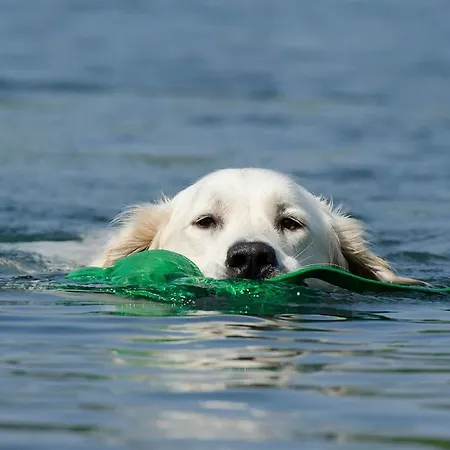 Casa de Férias Seestern