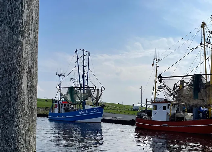 Seestern 別荘 ドルム・ノイフェルト