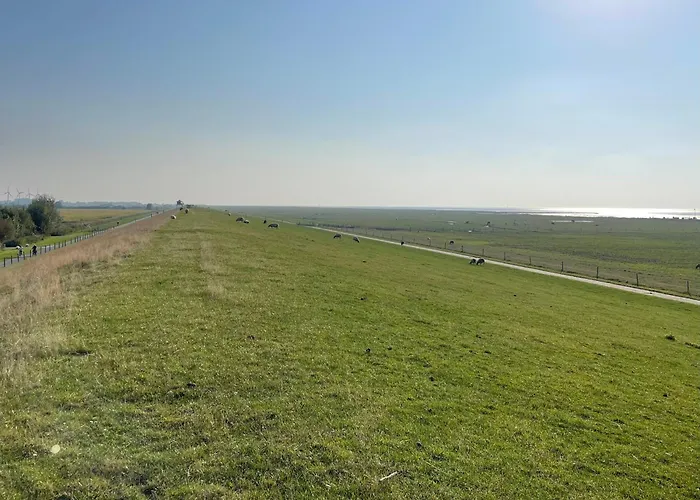 Seestern ドルム・ノイフェルト