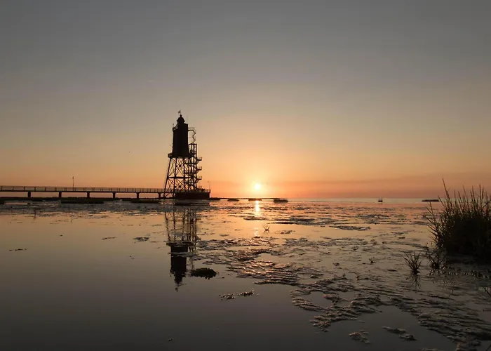 Seestern * ドルム・ノイフェルト