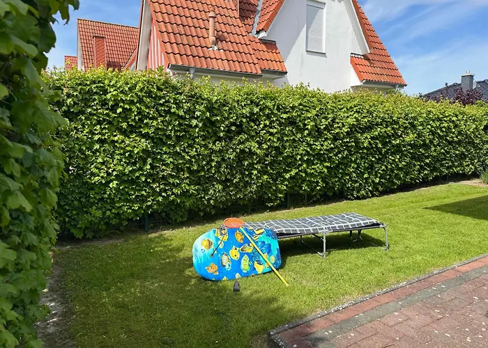 Seestern ドルム・ノイフェルト