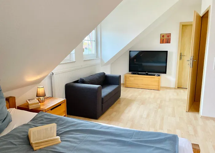 Seestern * ドルム・ノイフェルト